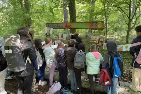Die Kinder haben an den Stationen viel gelernt.