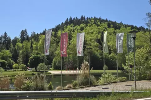 An der Einfahrt zum Clausensee könnte in Zukunft absehbar öfter der Bürgerbus der Verbandsgemeinde Waldfischbach-Burgalben stehe