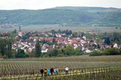 Im Leiningerland gibt es Dutzende Winzer. Ob sie an einer Weinmesse Interesse haben, wird sich zeigen. 