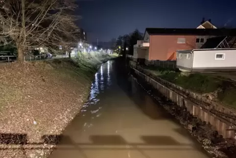 Am rechten Ufer grenzen die Häuser der Schillerstraße an den Schwarzbach. 