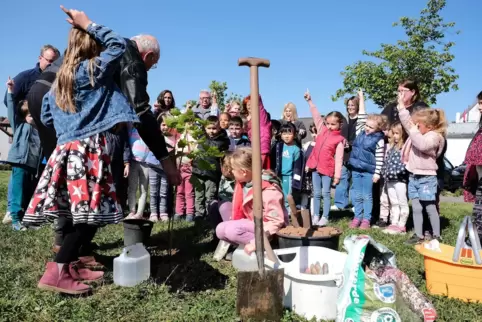 Kinder des katholischen Kindergartens Contwig helfen Werner Richter vom OGV Contwig, vor der Turn- und Festhalle eine amerikanis