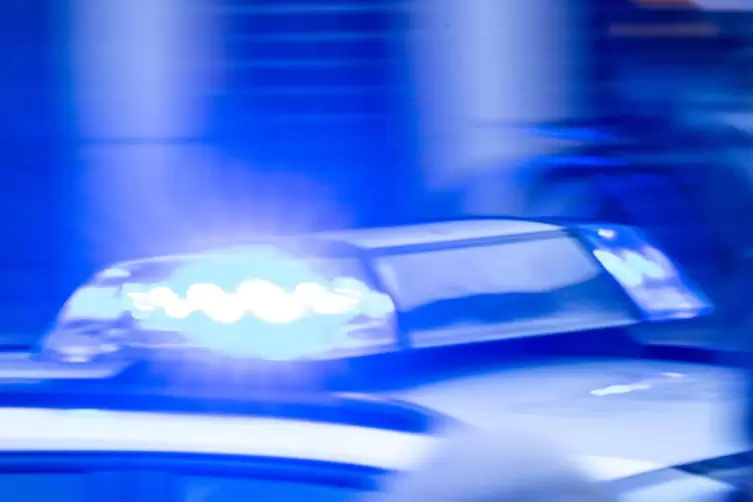 Vier Meter langer Bambus: Polizei stoppt Autofahrer - Mannheim - DIE  RHEINPFALZ