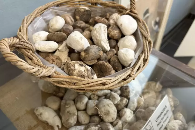 Sehen wie Kieselsteine aus, sind aber federleicht: Chunios, die typischen Trockenkartoffeln aus Peru. 