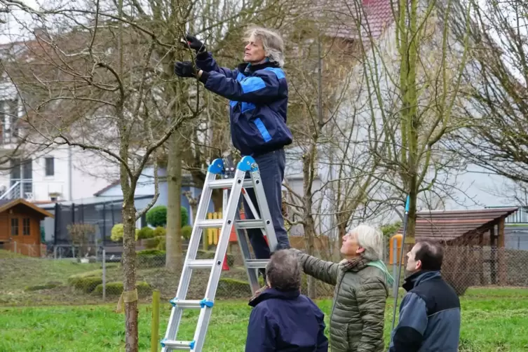 Seit 2022 bieten die Naturfreunde einmal j&auml;hrlich einen Baumschneidekurs an.