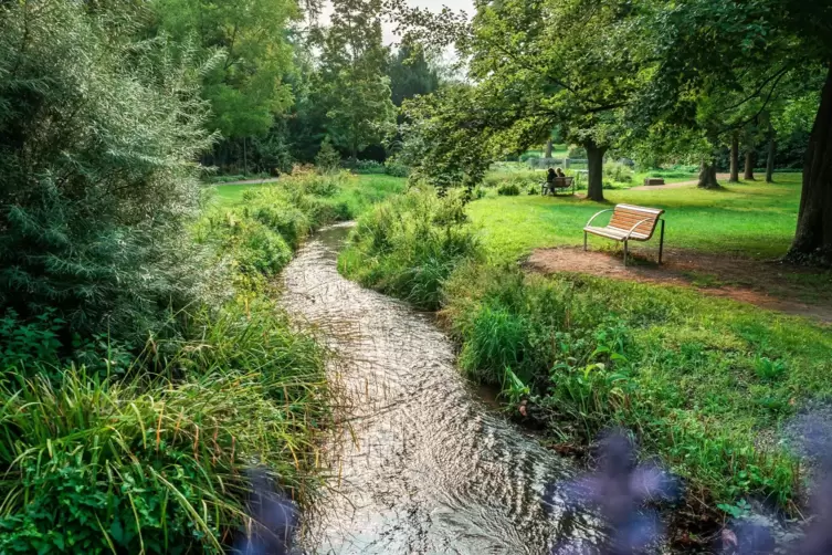 Im Kurpark freigelegt und renaturiert: die Isenach.
