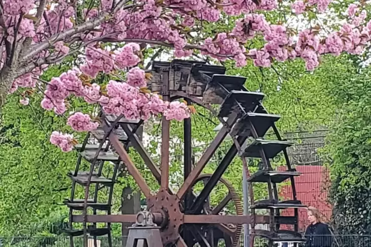 Idylle mit Bl&uuml;ten.