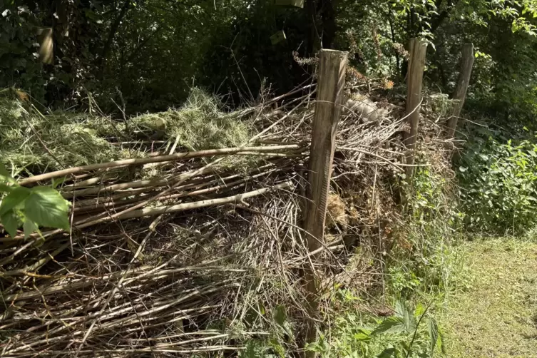 Eine Hecke aus Totholz bietet Lebensraum f&uuml;r viele Tiere. 