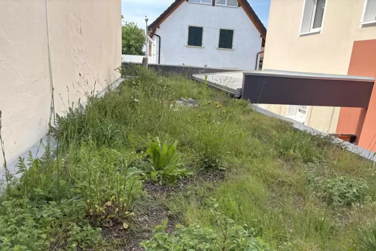 Auch das Dach ihrer Garage haben die Christmanns begr&uuml;nt. 