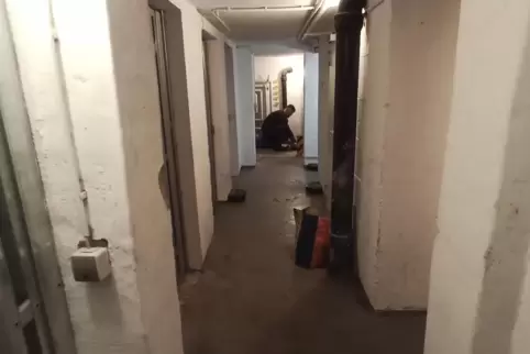 Durchaus aufgeräumter Keller in einem Mietshaus irgendwo in der Pfalz. Mit Rohren und Leitungen – und Ratten. Wie die hier reink