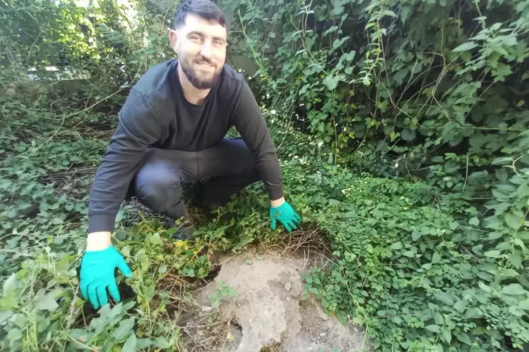 Fabian Vettel zeigt die Einstiegsl&ouml;cher in einen Rattenbau. Der ist schon &auml;lter &ndash; und bei Ratten ist es wie bei Menschen: Wenn d