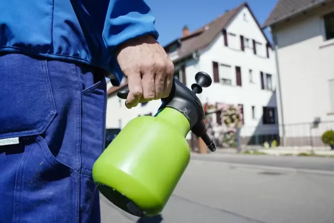 BTI wird in Wasser gelöst und per Sprühflasche auf potenzielle Brutstätten verteilt.