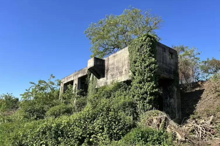 Bei Winden liegt der mysteri&ouml;se &bdquo;Lost Place&ldquo;