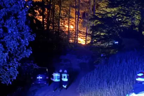 Unterhalb der Burg Berwartstein brannten am Donnerstagabend 600 Quadratmeter Unterholz.