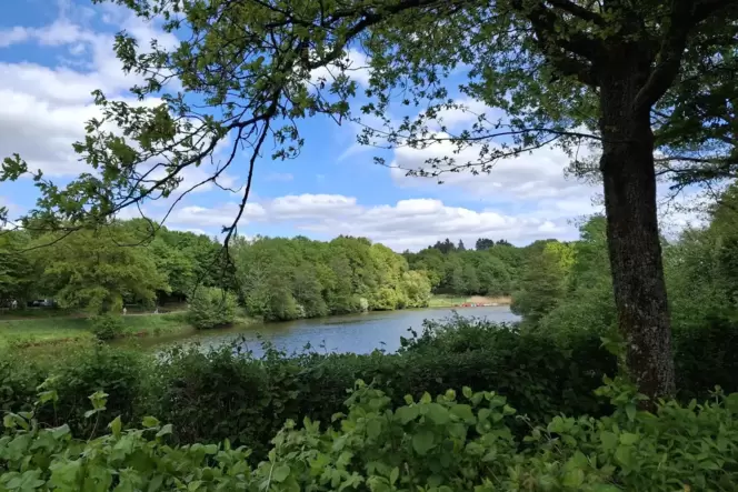 Beschauliche Idylle im Grünen: Ohmbachsee bei Schönenberg-Kübelberg. Beschauliche Idylle im Grünen: Ohmbachsee bei Schönenberg-Kübelberg.
