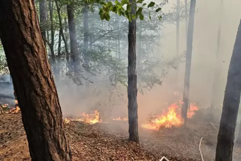 Die Brandstelle lag an der K 16.