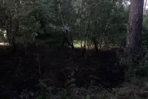 Spuren des Brands in einem Waldstück an der L454. 