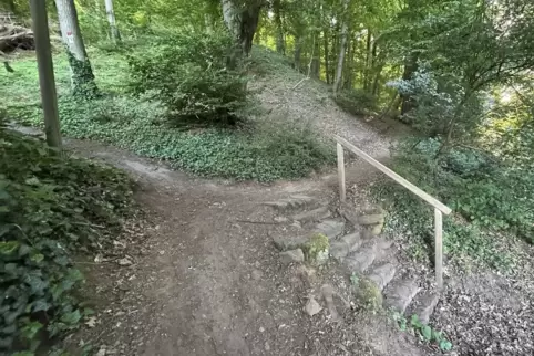 Eine der größten Problemstellen: der steile und schmale Aufstieg zum Eckbach-Mühlenwanderweg. 