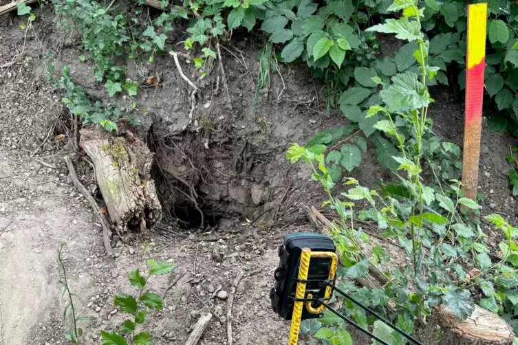 Eine Kamera wurde vor einer Dachh&ouml;hle positioniert. 