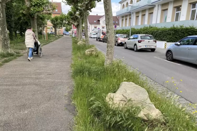 Steine statt Autos: In der Slevogtstra&szlig;e verhindern Findlinge, dass dort geparkt wird.