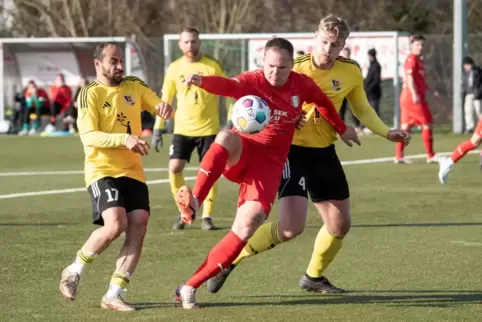 Auf den Landauer Torjäger Denis Thomas (am Ball) müssen die Seebacher besonders gut aufpassen. 