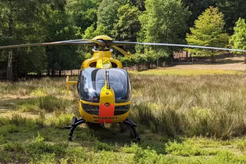 Ein Rettungshubschrauber brachte den Motorradfahrer ins Krankenhaus. 