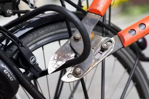 dpa_fahrrad