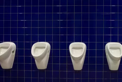 Eine Grundreinigung der Schultoiletten an der Astrid-Lindgren-Grundschule brachte nicht den gewünschten Erfolg. Besonders in ein