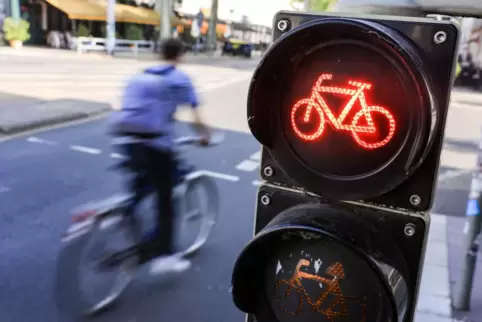 In gut 61 Prozent der von der Polizei Neustadt registrierten Unfälle mit Radbeteiligung führte ein Fehlverhalten der Radfahrer z