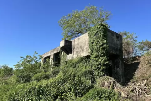 „Lost Place“: Alles deutet auf die Ruine eines Stellwerks hin. Schriftliche Belege fehlen jedoch. 