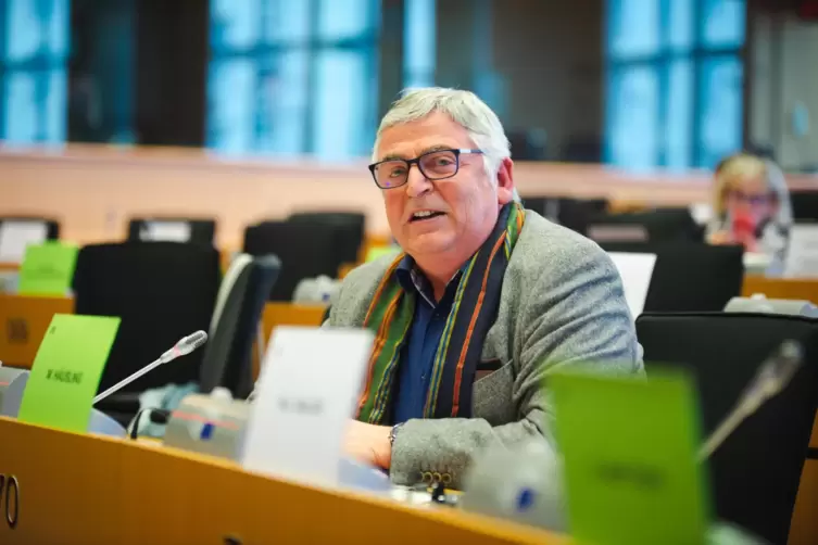 Europaabgeordneter Martin H&auml;usling (Gr&uuml;ne).