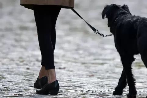 Eine Zweibrückerin legt Widerspruch dagegen ein, dass ihr der Hund abgenommen wurde. 