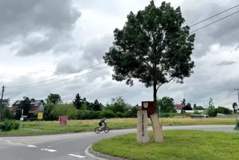 Nördlich des Kiebitzwegs gibt es Pläne für ein neues Gewerbegebiet in Erpolzheim. 