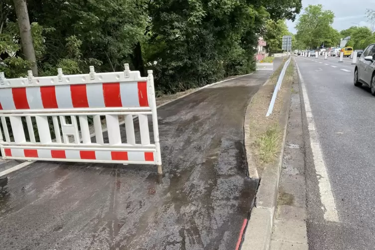 Radweg: am Speyerer Stadteingang schon fast fertig. 