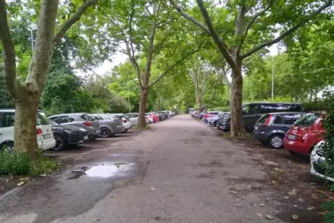 Die Stadtveraltung plant auf dem gut frequentierten Parkplatz in der Leuschnerstraße den Modulbau einer Kita. Die BI Alwin-Mitta