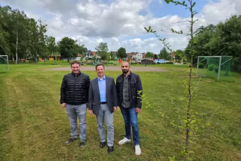 Hier im südlichen Bereich des Hettenleidelheimer Freibad-Geländes wird ein Solarpark entstehen, wie Betriebsleiter Julian Hoffma