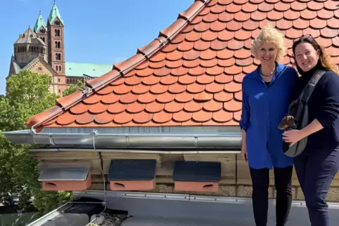 Auf dem Dach des Gymnasiums am Kaiserdom: Initiatorin Martina Steiger und Schulleiterin Cosette Benz (rechts) neben drei der fün
