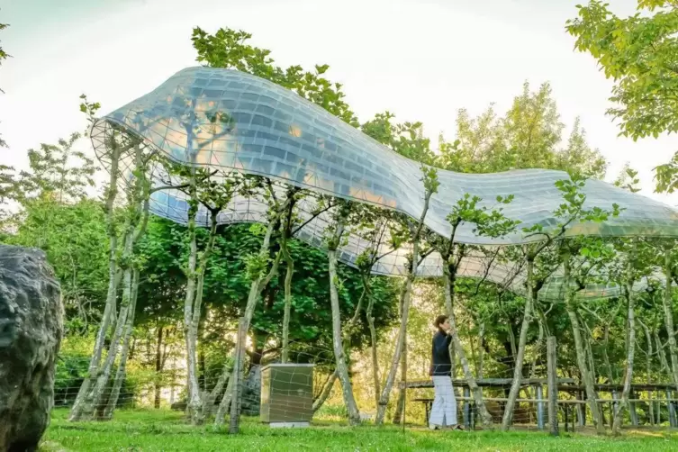 Experimentelles baubotanisches Bauwerk der TU M&uuml;nchen. 