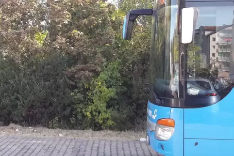 Geparkter Bus: Dieb macht Beute. 