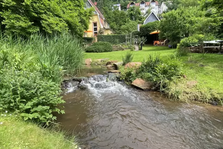 Die eingelassene Staustufe und das renaturierte Isenachufer sorgen f&uuml;r eine nat&uuml;rliche Atmosph&auml;re.