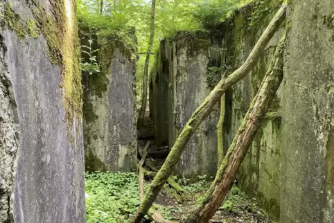 Das „Jägerhaus Nordfeld“ bewirtete seit 1901 Ausflügler, Wanderer und andere Gäste. Zuvor war in dem Gebäude die Bergwerksverwal