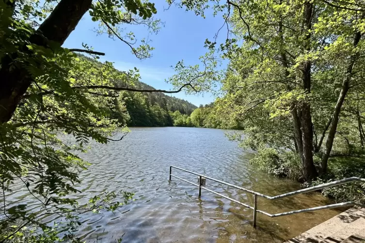 Treppen in den Seehof-Weiher bei Erlenbach bei Dahn