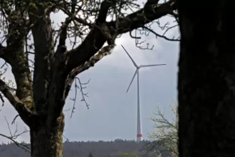 Windräder im Wald: Sie werden in Otterberg wohl kommen, allen Bedenken von Bürgern und Behörden zum Trotz. 