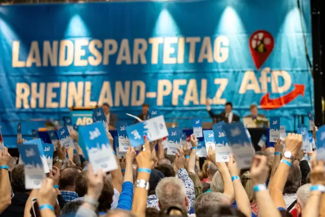 Mehr als 600 Mitglieder waren am Samstag auf dem AfD-Landesparteitag in Idar-Oberstein.