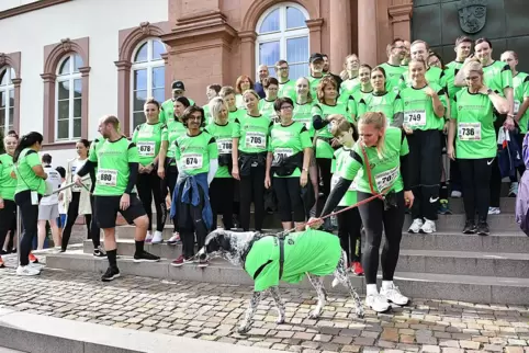 Hier präsentiert sich das Team Fashion Outlet beim Zweibrücker Firmenlauf 2024, komplett mit Hundedame Frida. Hier präsentiert sich das Team Fashion Outlet beim Zweibrücker Firmenlauf 2024, komplett mit Hundedame Frida.