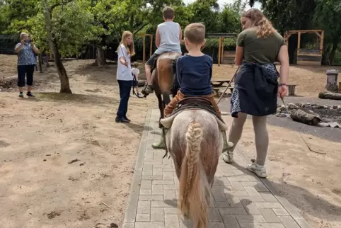 Für besondere Begeisterung bei den Kindern sorgten die Ponys vom Schwegenheimer Ponyhof „Talking Horse Farm“.