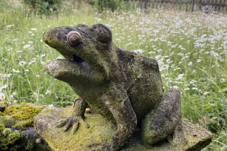 Einst speite der Frosch Wasser f&uuml;r ein Bassin.
