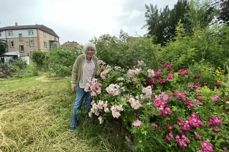 Besonders &uuml;ppig ist der Wildrosen-Busch in Ursula Gro&szlig;&rsquo; Garten.