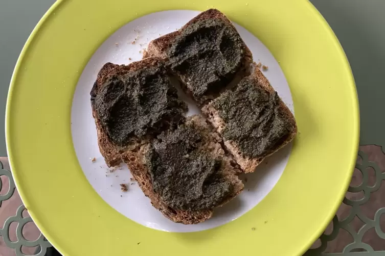 Das Pesto aus Wildkr&auml;utern von der Wiese schmeckt k&ouml;stlich. 