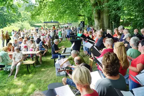 Die Besucher der Jubiläumsfeier bekamen im Wildrosengarten ein buntes Programm geboten – hier beim Auftritt des Chors Cantamus.