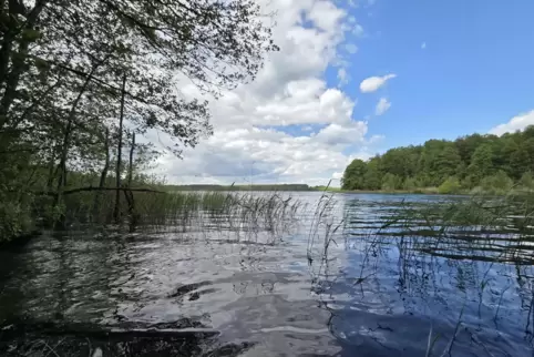 Einige Chemikalien schädigen die Umwelt sogar dann schon, wenn sie mit herkömmlichen Methoden noch gar nicht nachgewiesen werden